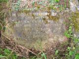 image of grave number 219397